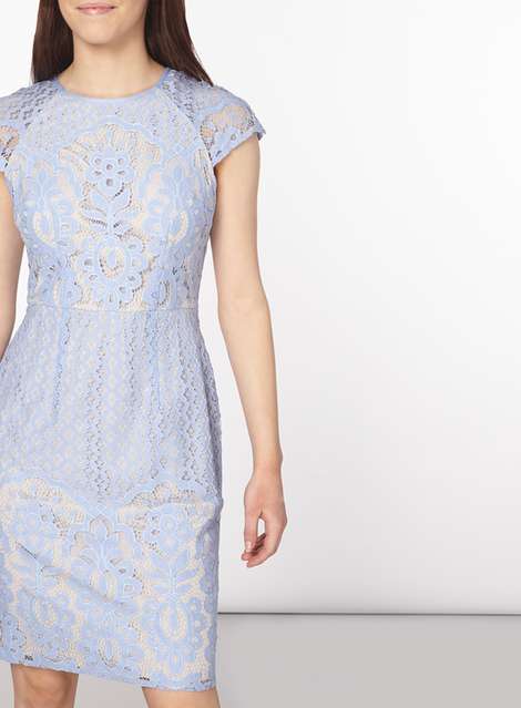 Petite Blue Lace Fitted Dress